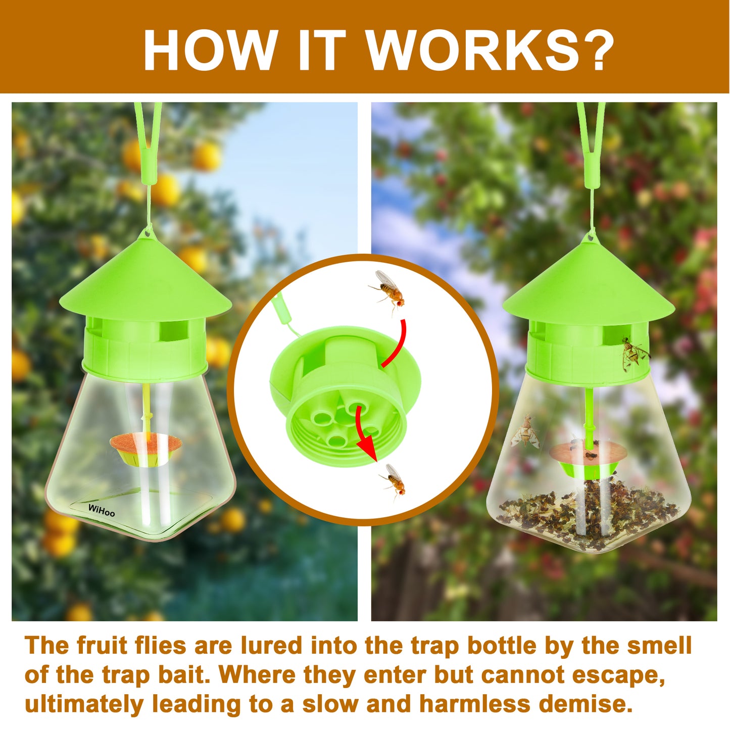 WiHoo Pesticides Outdoor Fly Traps with Fruit Fly Bait Refill for Fruit and Vegetable Garden
